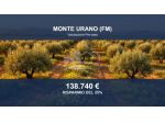 Immobile in asta di 17080 m² in vendita a Monte Urano