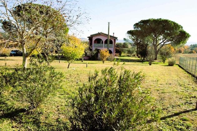 Rustico casale in Vendita in zona MONTEMASSI - Foto 5
