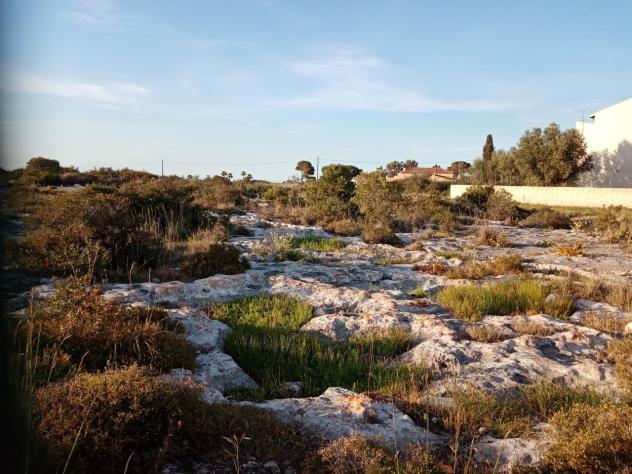 Area verde in vendita a Siracusa - Foto 4
