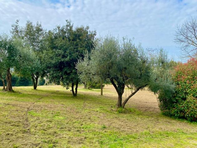 Villa in vendita a Lorenzana - Crespina Lorenzana 192 mq Rif: 1398546 - Foto 5