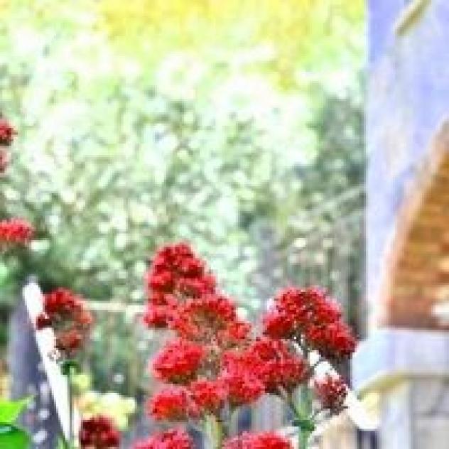 Alientu di Chia di Sabrina Salis - Foto 3