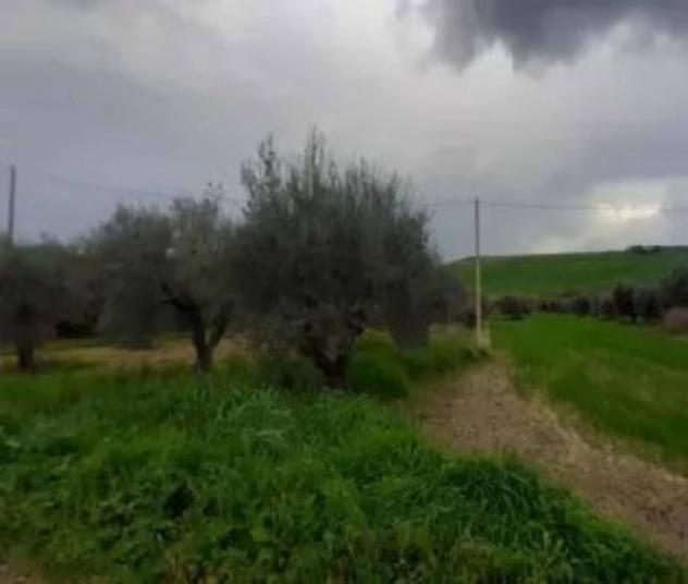 Immobile in asta di 2969 m² in vendita a Grassano - Foto 2