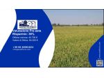 Immobile in asta di 16020 m² in vendita a Ozzero
