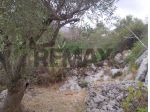 Terreno in vendita a Siracusa, Belvedere