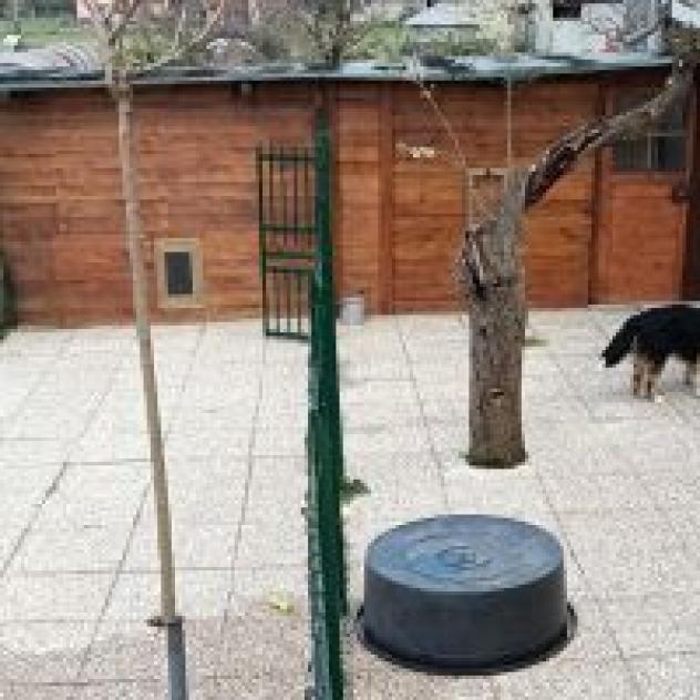 Happy's Family Pensione per cani&gatti e allevamento