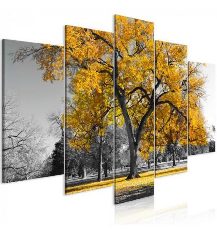 Quadro Alberi Gialli 100x50 E 200x100 ARREDALACASA