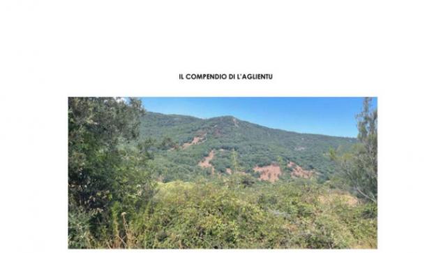Immobile in asta di 36 m² in vendita a Luras - Foto 4