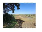 IMMOBILI-ALTRA CATEGORIA-vocabolo Turrita, 06036 Montefalco PG, Italia