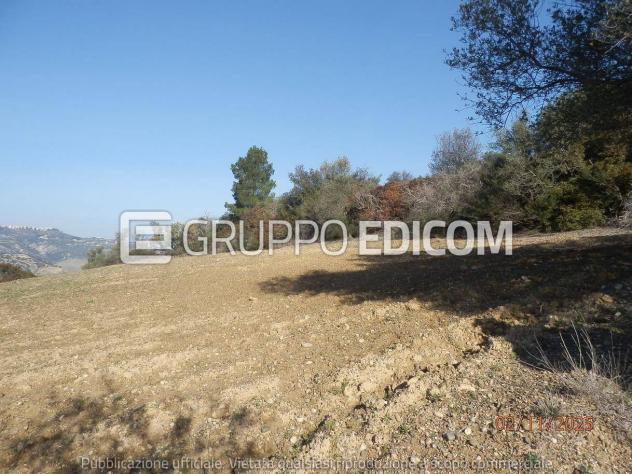 Terreno di 46370 mq in vendita a Montescaglioso - Rif. 4555042 - Foto 7