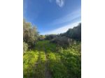 10 V076 Terreno agricolo panoramico in vendita a Bellacera – Santa Flavia