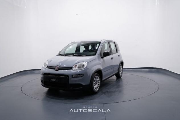FIAT New Panda 1.0 FireFly S&S Hybrid rif. 23780418