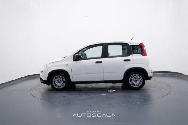 FIAT New Panda 1.0 FireFly 70cv S&S Hybrid rif. 23865446 - Foto 3