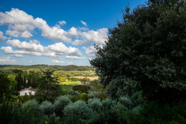 Villa in vendita a Collesalvetti - Foto 7