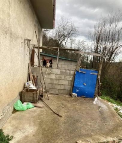 Immobile in asta di 88 m² in vendita a Tortorici - Foto 2