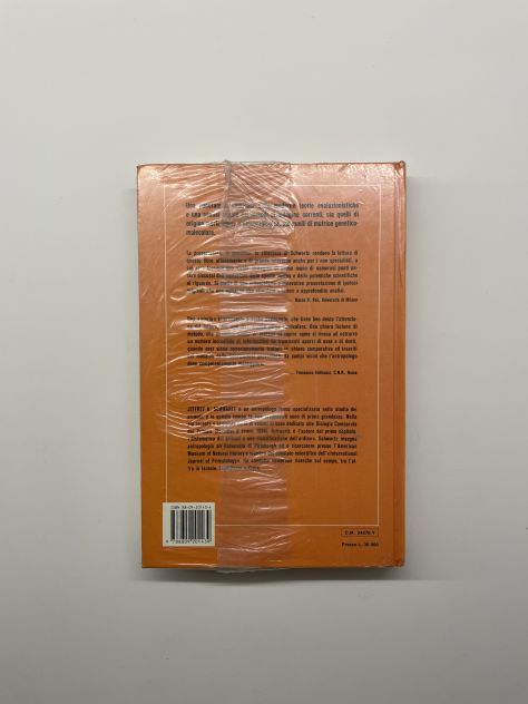 La scimmia rossa, Jeffrey Schwartz - Foto 2