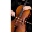 Violoncellista Mendrisio (Canton Ticino)