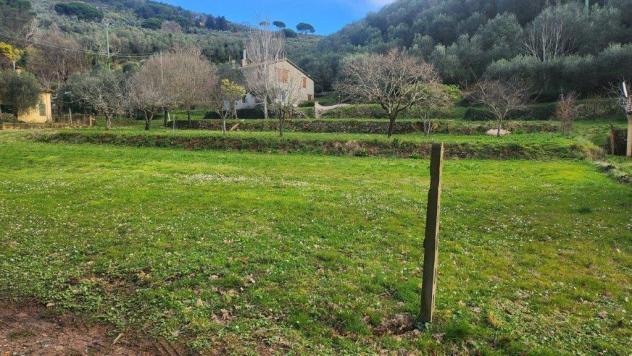 Terreno agricolo in vendita a San Giovanni Alla Vena - Vicopisano 2500 mq Rif: 1393231 - Foto 2