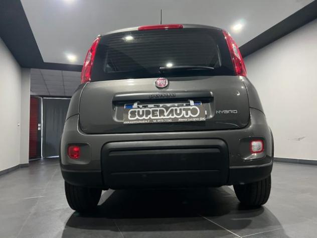 FIAT Panda 1.0 FireFly S&S Hybrid rif. 23614019 - Foto 5