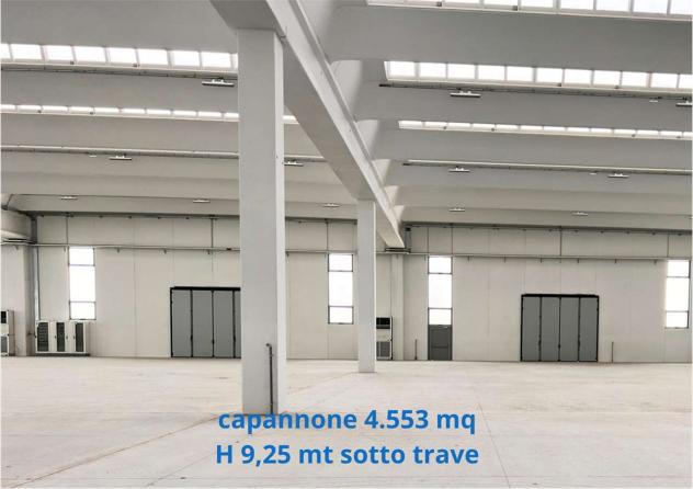2430 - Capannone in Affitto 5.150 mq a Fonte (TV) Rif. 2430 - Foto 11