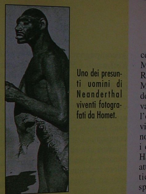 MISTERI - Foto 8