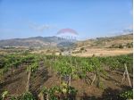 Terreno in vendita a Bronte
