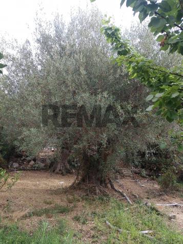 Terreno in vendita a Siracusa, Belvedere - Foto 17