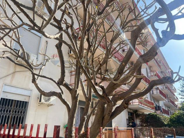 Appartamento in vendita a Palermo, Brancaccio - Foto 6