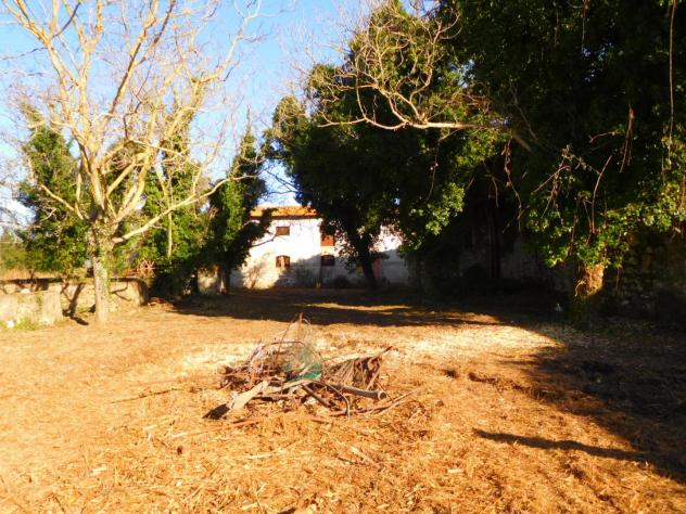 Colonica in vendita a Migliarino - Vecchiano 2850 mq Rif: 1295864 - Foto 7
