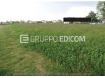 Terreno di 8019 mq  in vendita a Istrana - Rif. 4549352