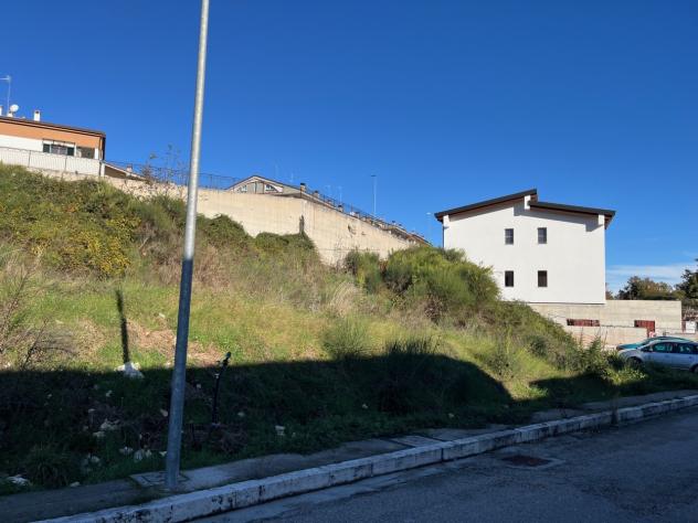 Agricolo in vendita a Segni - Foto 5