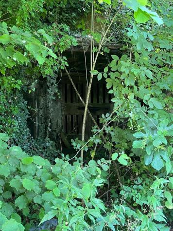 Nel comune di Sorano e precisamente nella frazione di San Giovanni delle Contee che dispone di servizi di prima necessità e dista circa 14 km da Soran - Foto 12