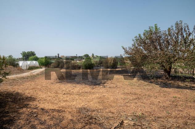 Casa Indipendente in vendita a Caltagirone, Piano San Paolo - Foto 11