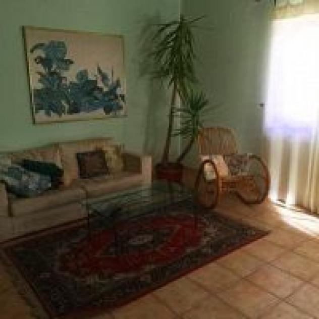 Carpe Diem