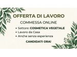 Lavoro da casa