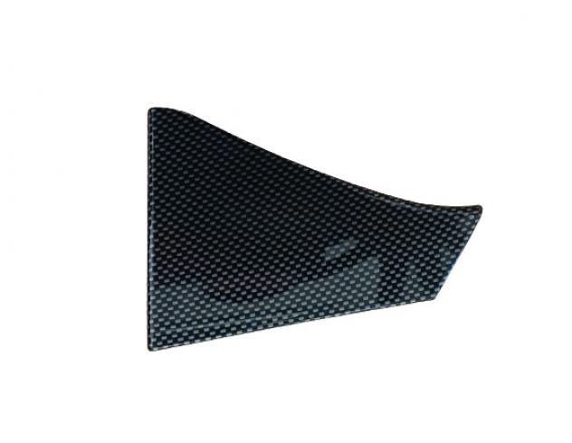MOSTRINA PORTELLONE DX CARBON AIXAM 2013