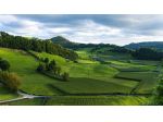 CUCCURANO: Fano - cuccurano vendita terreno agricolo 
in località cuccurano &hellip;