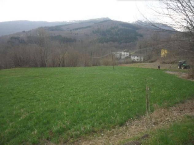 Immobile in asta di 9468 m² in vendita a Pievepelago - Foto 4