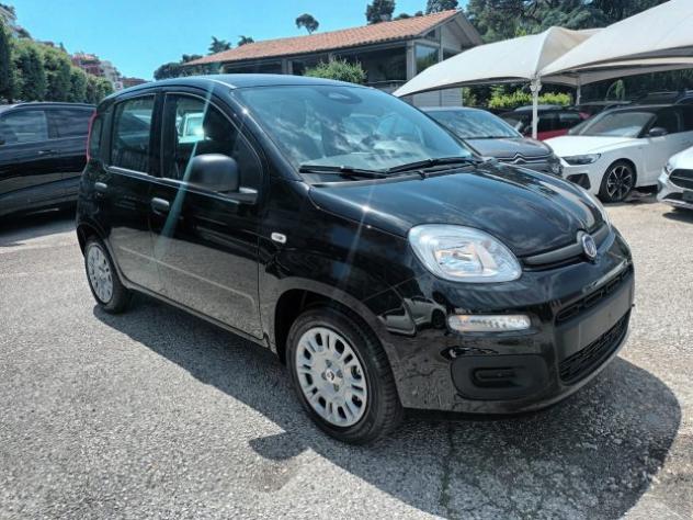 FIAT Panda 1000 HYBRID 70 CV PACK CITY STEREO USB ITALIA rif. 23993227 - Foto 2