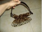 Borsa maculata