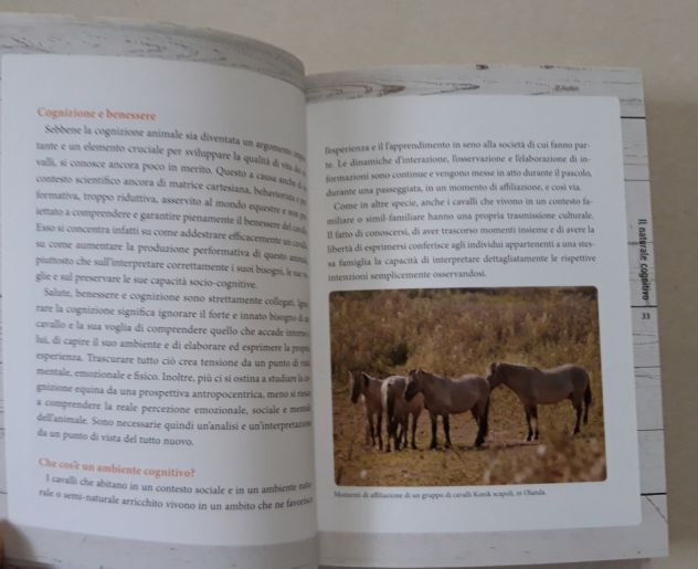 Comprendere il cavallo - Foto 5