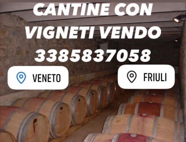 CANTINE CON VIGNETI DI PROSECCO DOC - Foto 6