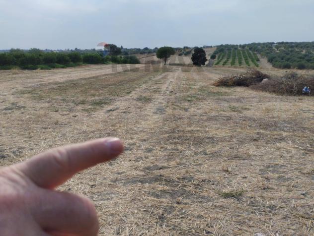 Terreno Edificabile in vendita a Noto - Foto 7