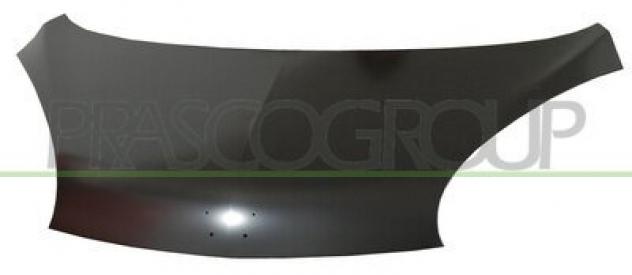 COFANO ANT. CI2013100 Carrozzeria Lamierati esterni Cofano Cofano ant. CITROEN - C1 I - 2005 2014