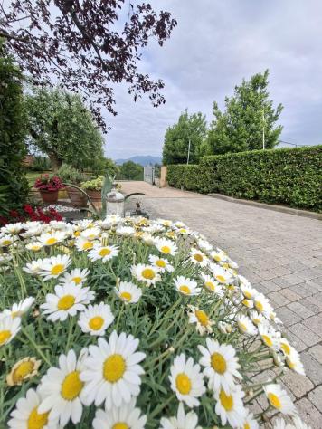 Villa in vendita a Falorni - Santa Maria a Monte 190 mq Rif: 1414742 - Foto 6