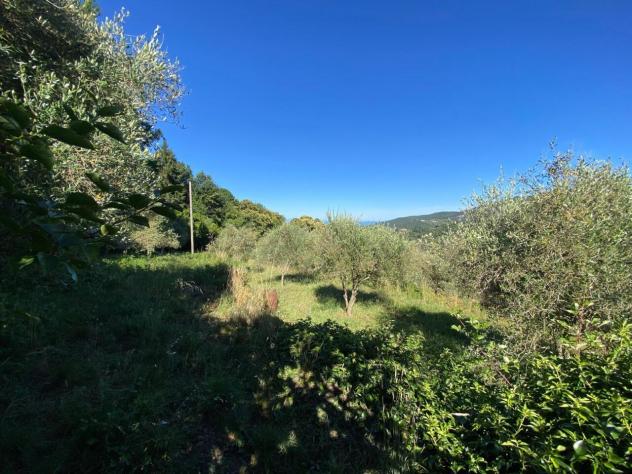 Seminativo in vendita a Quiliano - Foto 6