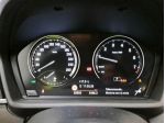BMW X1            (F48) X1 sDrive18i Advantage