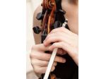 Violinista Salsomaggiore Terme