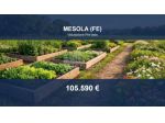 Immobile in asta di 84545 m² in vendita a Mesola
