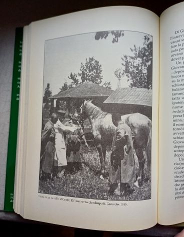 RICORDI DI UOMINI E ANIMALI, Mannini Pier Luigi, EDIZIONI DEL GRIFO 2004. - Foto 4