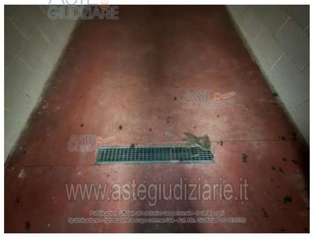 IMMOBILI-ALTRA CATEGORIA-Via Circonvallazione Occidentale, 96, 47923 Rimini RN, Italia - Foto 3